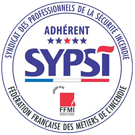 Logo SYPSI